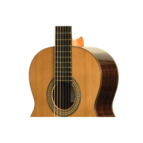 JOSE TORRES JTC-50 - immagine 2