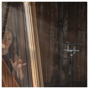 RODE TF-5 Matched Pair / Microfoni a Condensatore - immagine 5